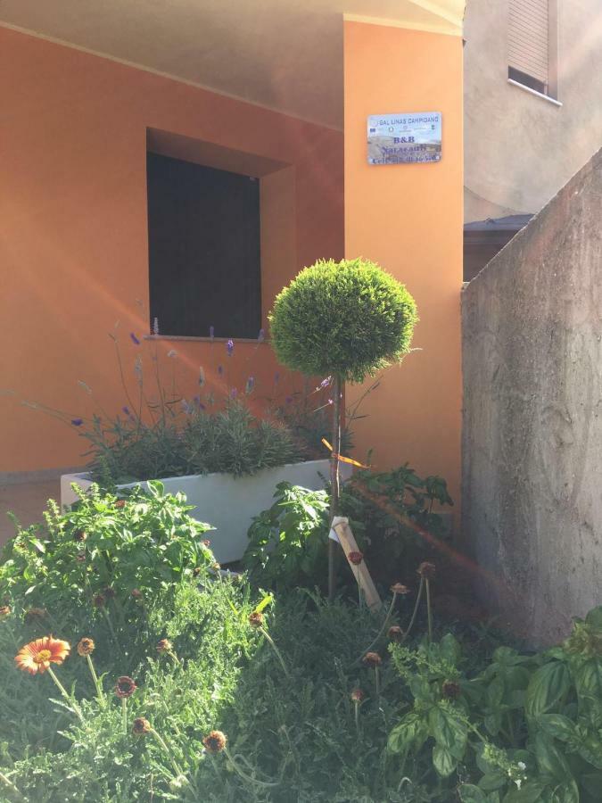 Naracauli Magazzini (Sardinia) Exterior foto